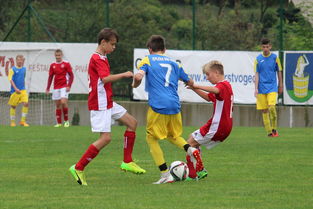 开云体育入口-国际乒联宣布新赛制，赛事更加精彩，国际乒联比赛2021  第2张